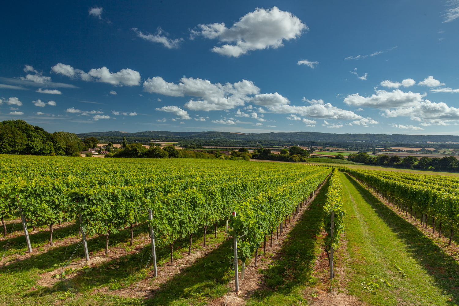 English Sparkling Wine