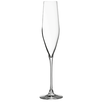 Bacci Crystal Champagne Flute 19cl