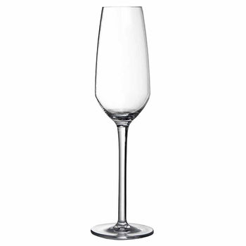 Iris Shatterproof Plastic Champagne Flute 24cl